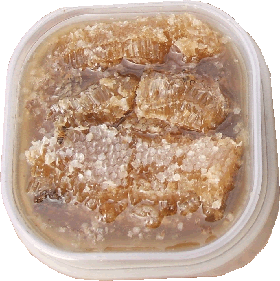 comb_honey_in_container.gif