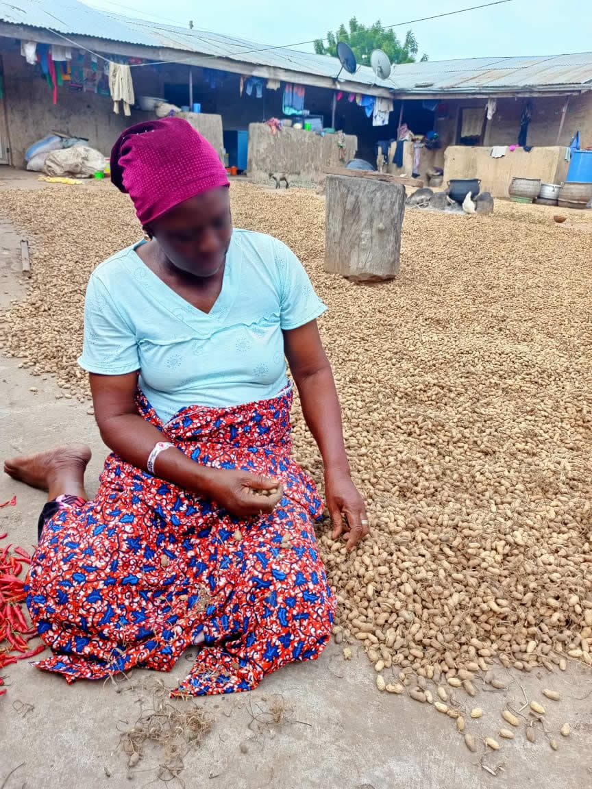 preparing groundnut for sale
    