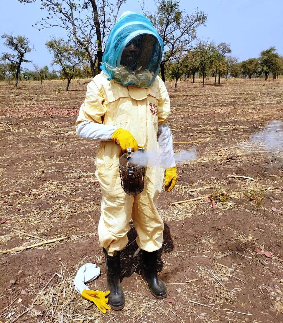Group hive inspection
