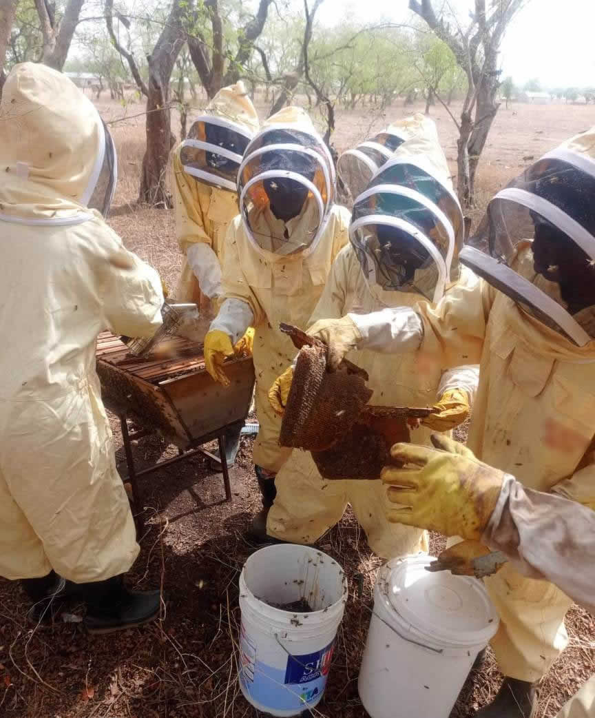 beekeepers inspecting comb