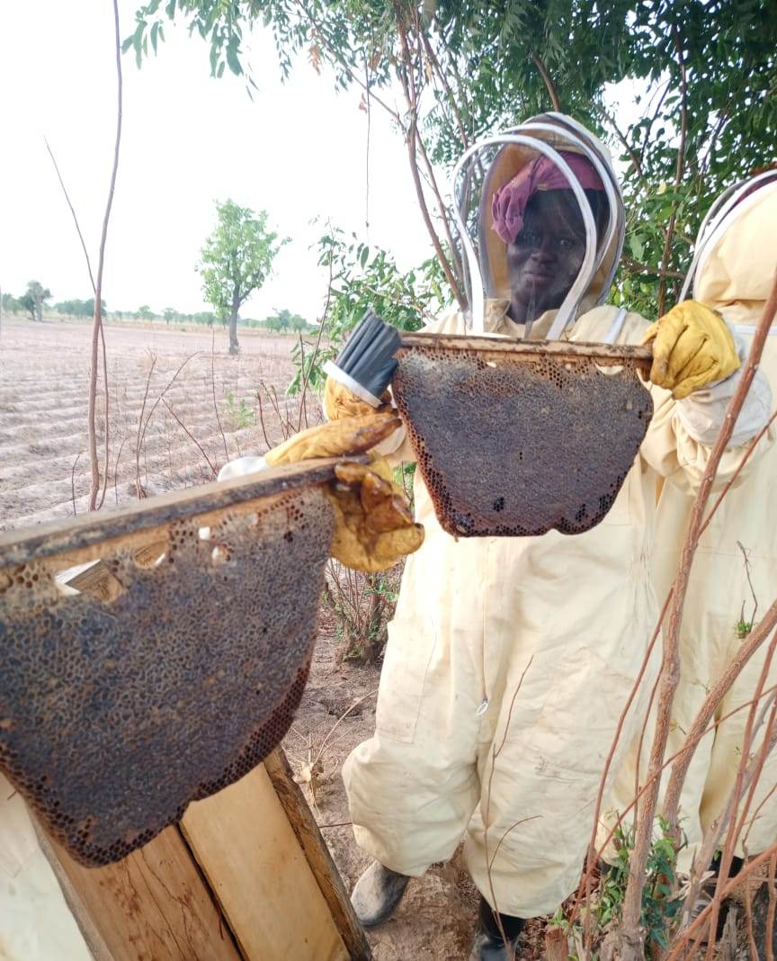 inspecting honeycomb frame