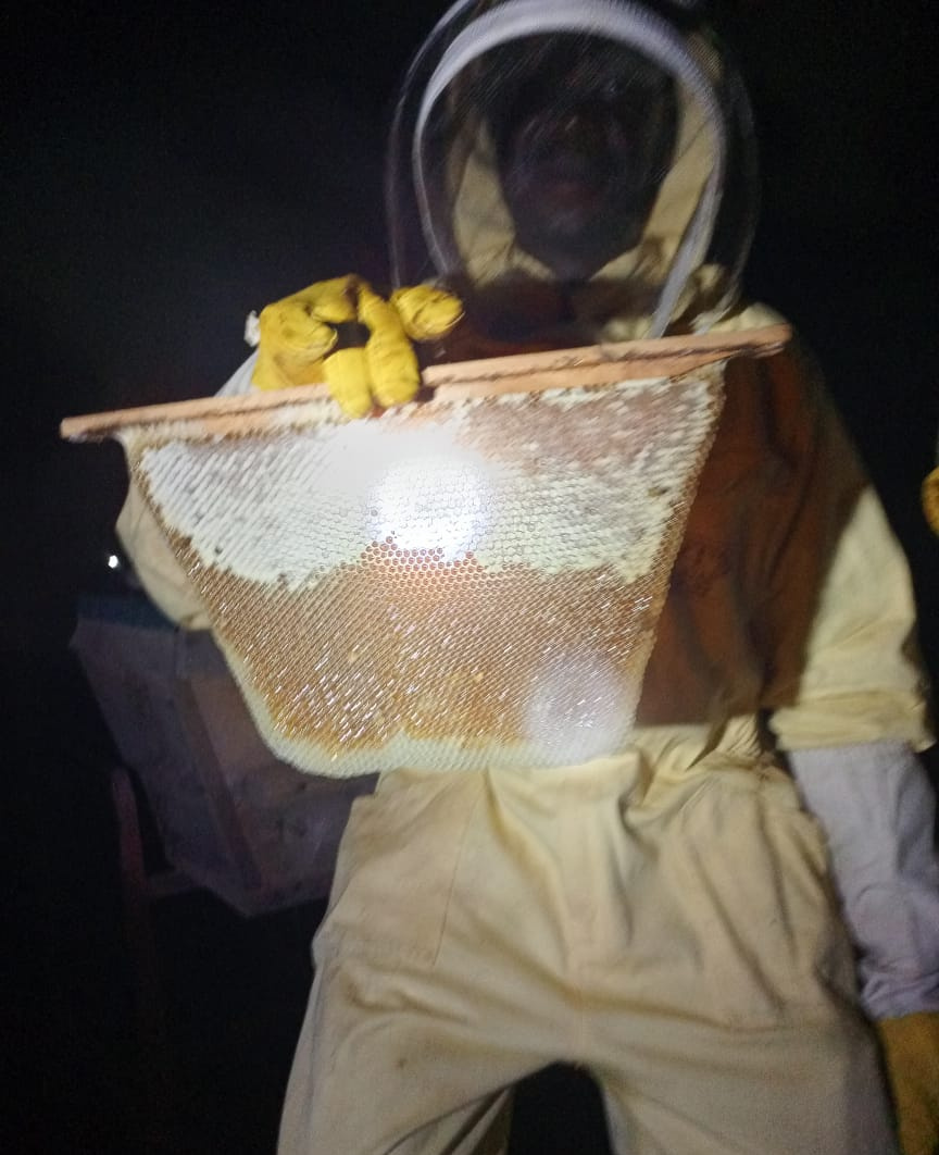 2026-04-28_beekeeper_holding_honeycomb_frame.jpg
