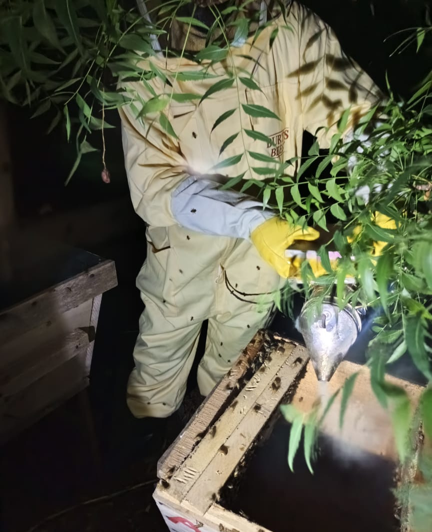 2026-04-28_nighttime_hive_inspection_protective_gear.jpg
              