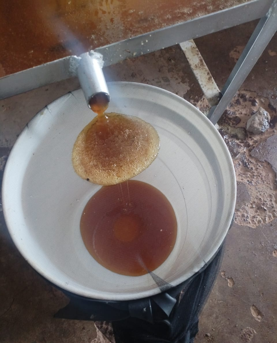 2026-05-02_honey_extraction_filtering.jpg
