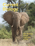 current_biology_elephant.gif