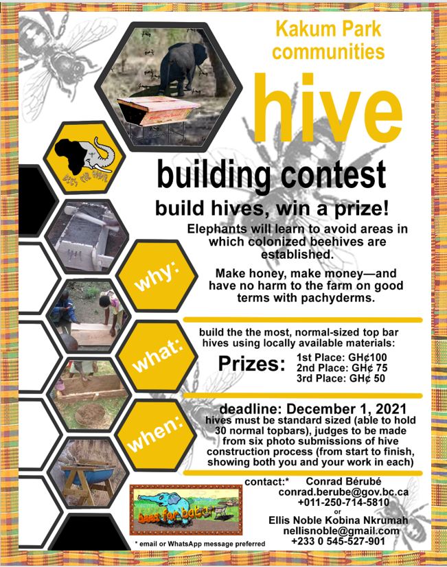 hive_contest_flyer.jpg
